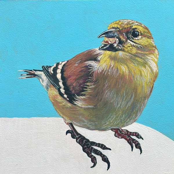Goldfinch # 4 by Paige Wallis, Image 1.