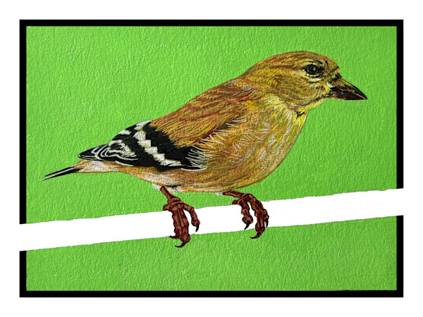 Goldfinch #1 by Paige Wallis