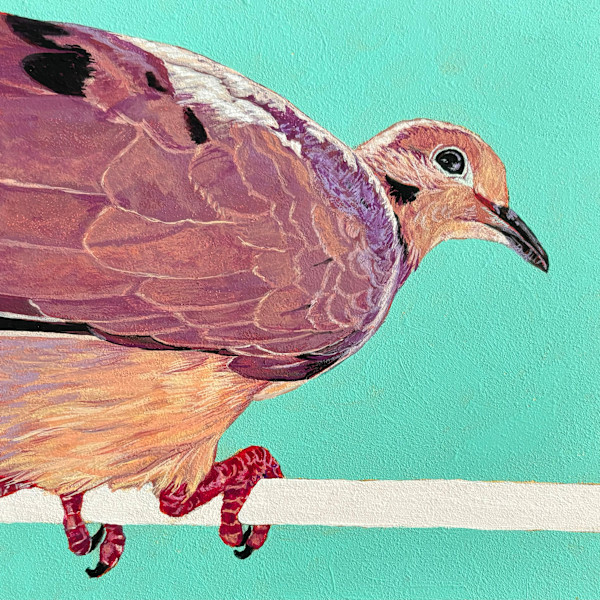 Mourning Dove #1 by Paige Wallis, Image 1.