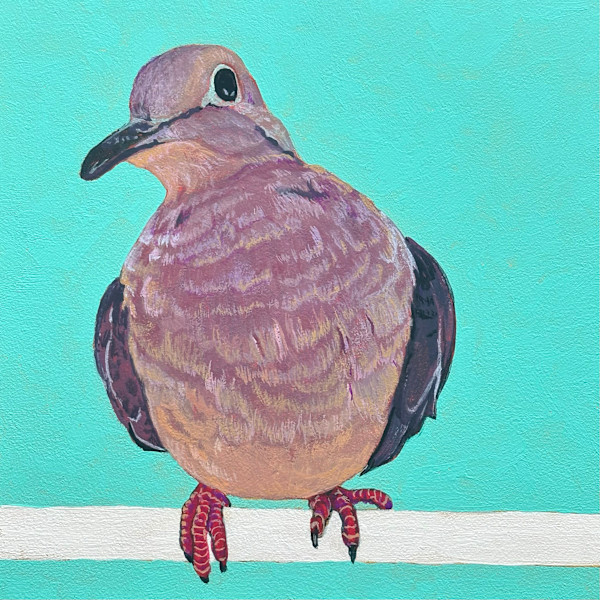 Mourning Dove #2 by Paige Wallis, Image 1.