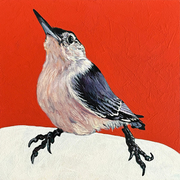 Nuthatch #2 by Paige Wallis, Image 1.