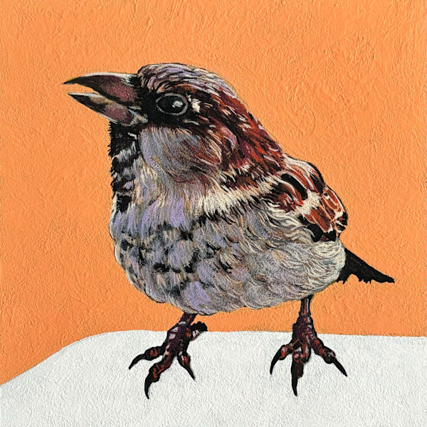 Sparrow #2 by Paige Wallis, Image 1.