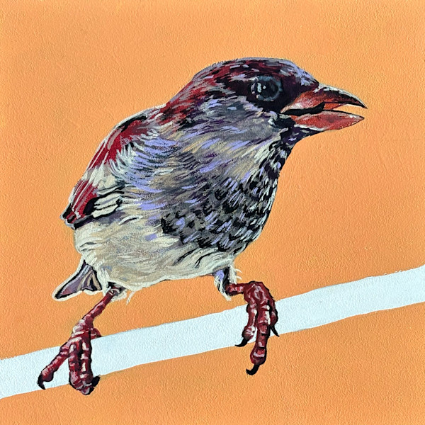 Sparrow #3 by Paige Wallis, Image 1.