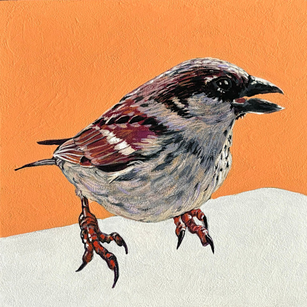 Sparrow #4 by Paige Wallis, Image 1.