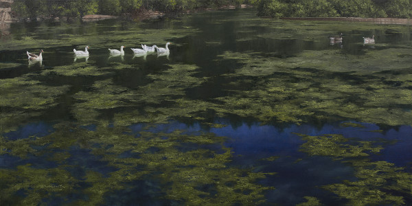 The Lake at Sequiota Park by John Whytock - Oak Rose Studio
