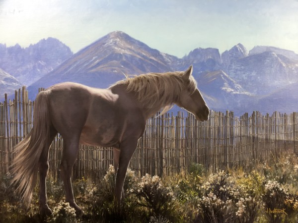 High Country Horse by John Whytock - Oak Rose Studio