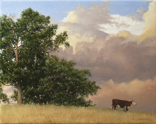 Missouri Summer by John Whytock - Oak Rose Studio