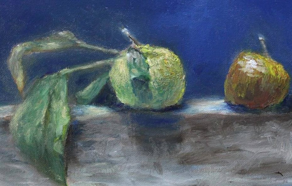 Twin Apples by Ari Constancio