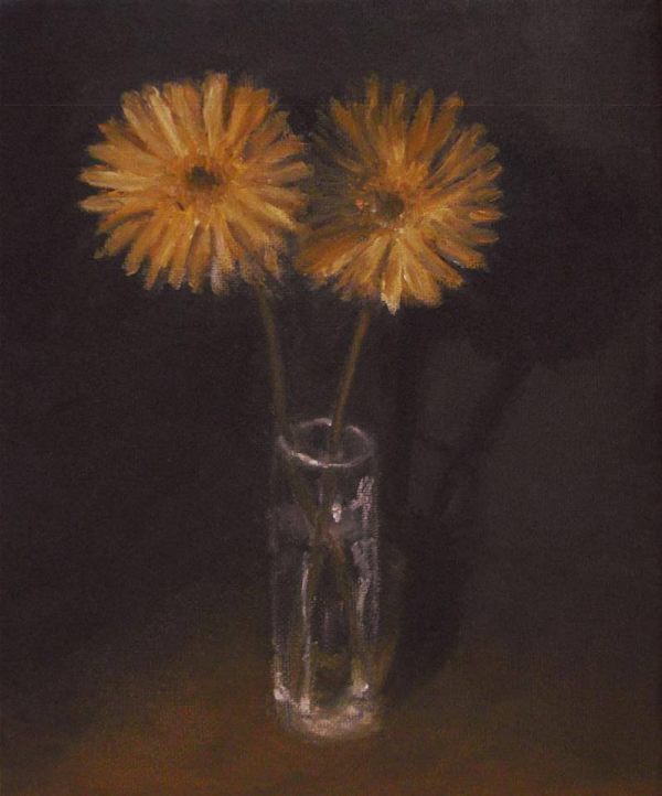 Two Gerbera Flowers by Ari Constancio