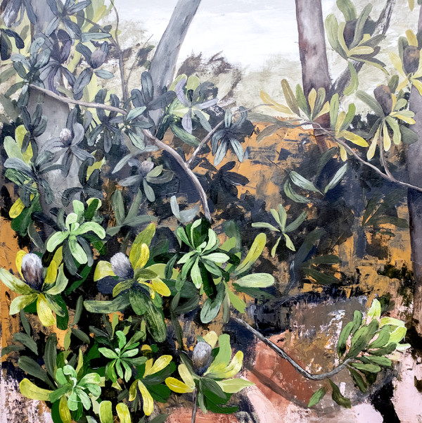 Honeymoon Banksia 1