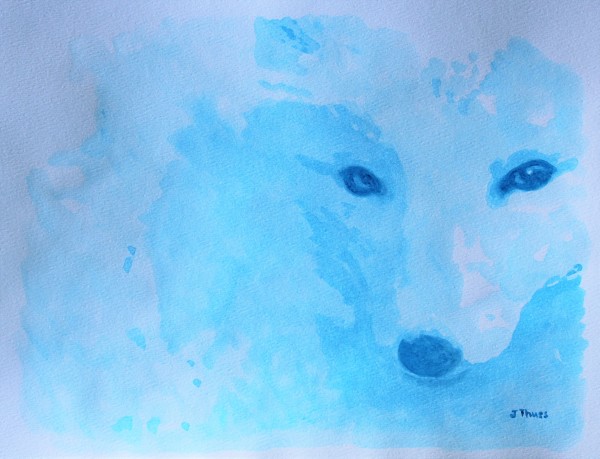 Arctic Fox by Jane Thuss