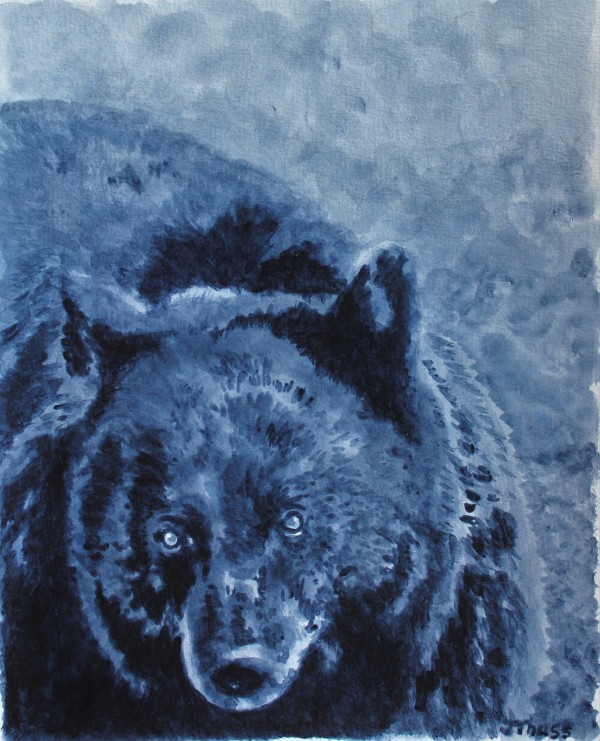 Black Bear Close-up by Jane Thuss