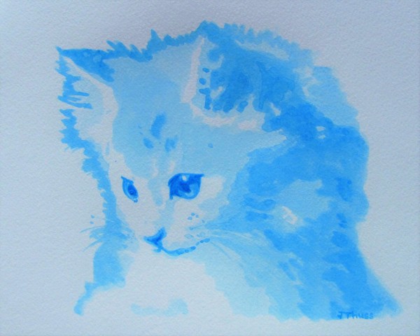 Blue Kitten by Jane Thuss