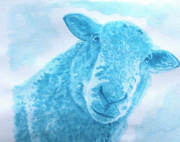 Blue Sheep by Jane Thuss
