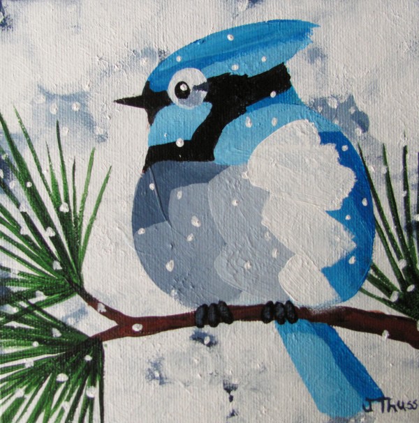 Bluejay in the Snow by Jane Thuss