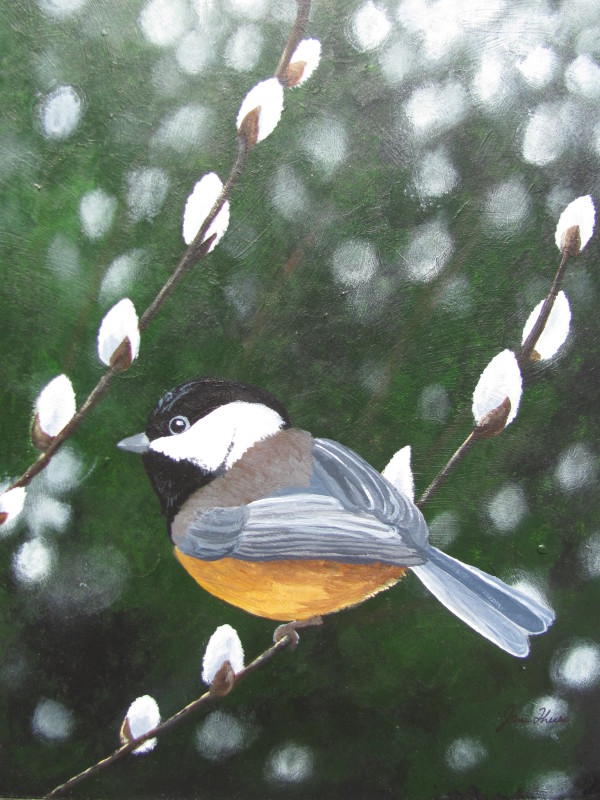 Chickadee and Pussywillows by Jane Thuss