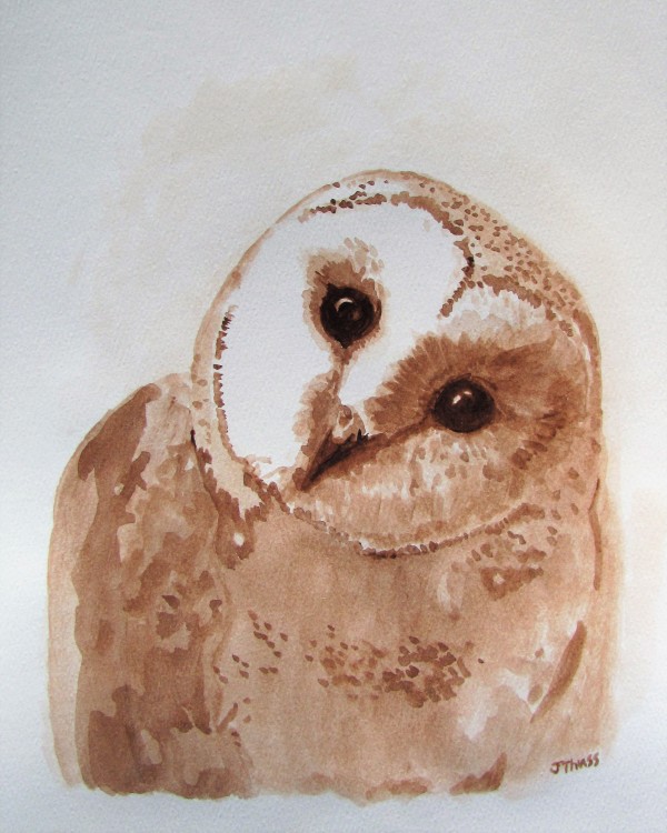 Curious Barn Owl by Jane Thuss