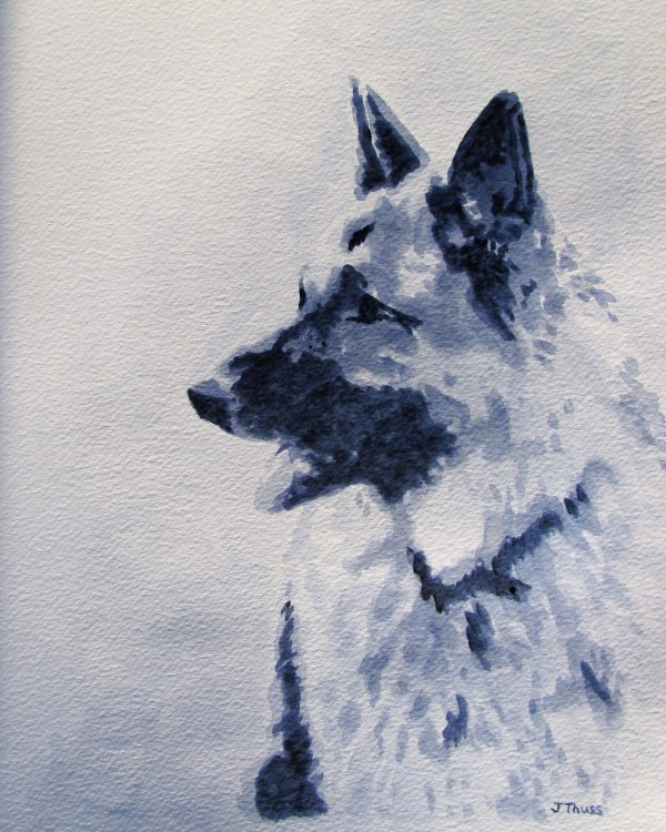 German Shepherd - Black & White by Jane Thuss