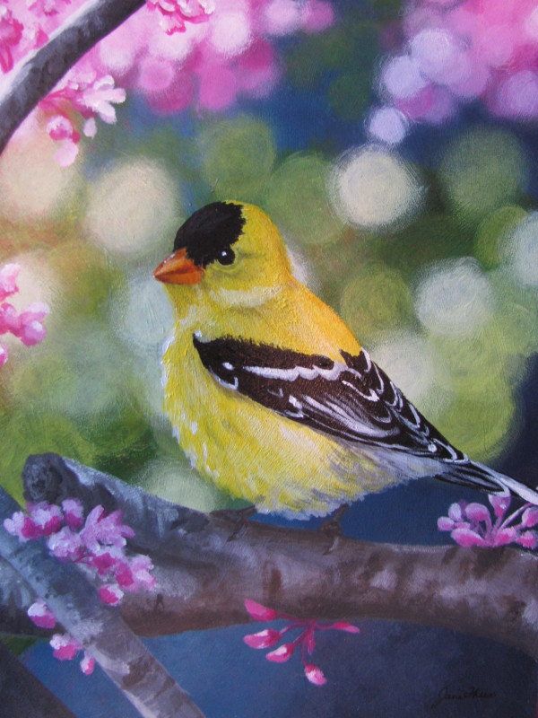 Golden Finch by Jane Thuss