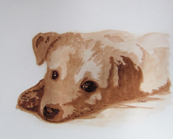 Golden Lab Puppy by Jane Thuss