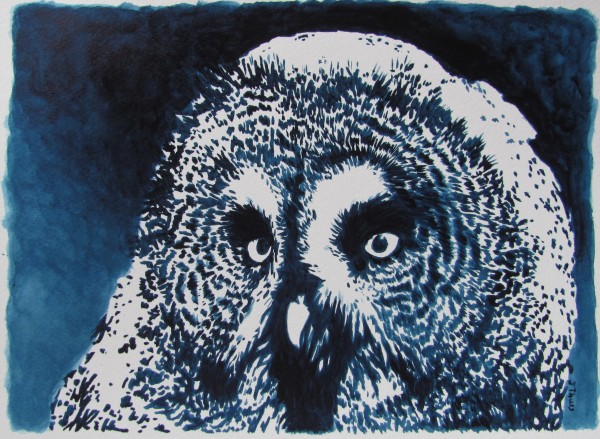 Great Grey Owl by Jane Thuss