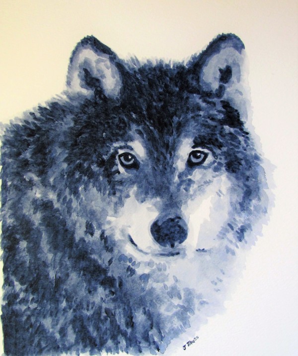 Grey Wolf by Jane Thuss