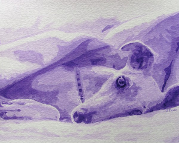 Greyhound by Jane Thuss