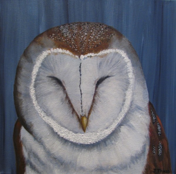 Sleepy Owl by Jane Thuss
