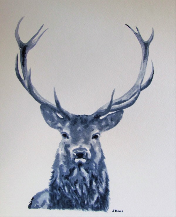 Majestic Elk by Jane Thuss