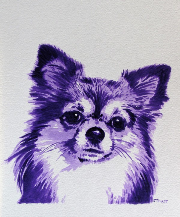 Purple Chihuahua by Jane Thuss by Jane Thuss