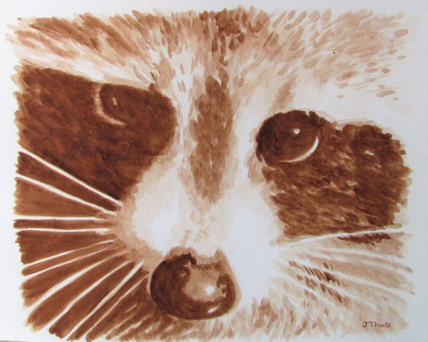 Raccoon by Jane Thuss