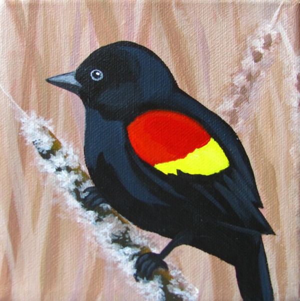 Redwing Blackbird by Jane Thuss