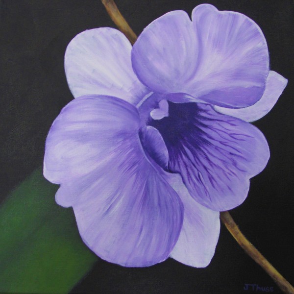 Single Bloom by Jane Thuss