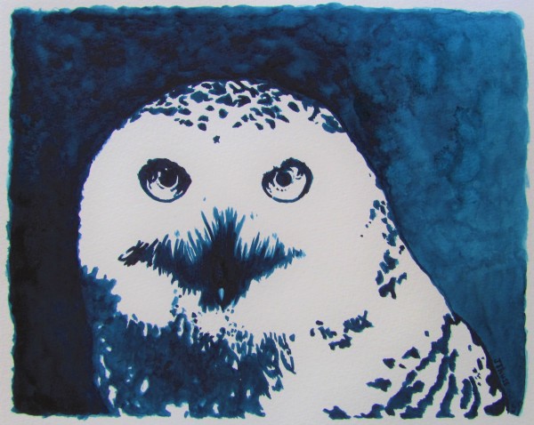 Snowy Owl by Jane Thuss