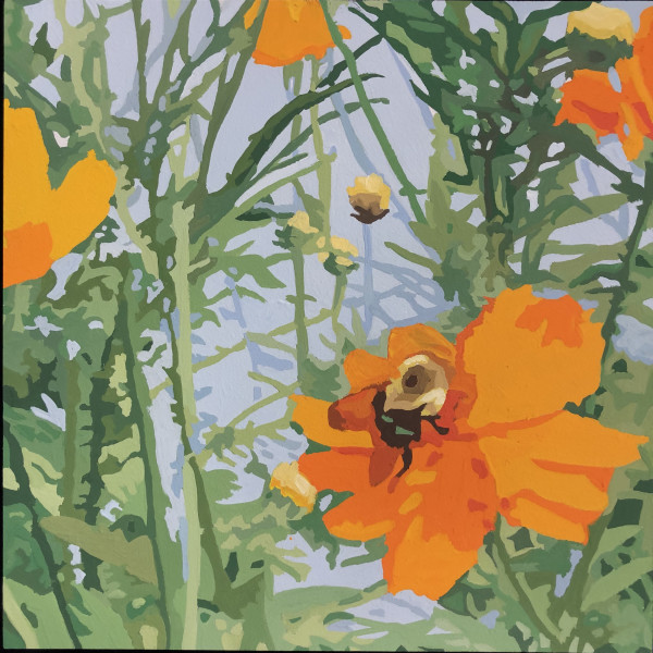 Wildflower Composition (California Poppy #17) by James Oliver