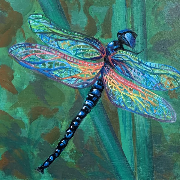 untitled dragonfly by Chelsea Davis