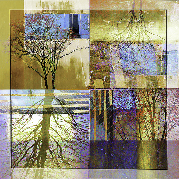 Tree Reflection by Rochelle Berman