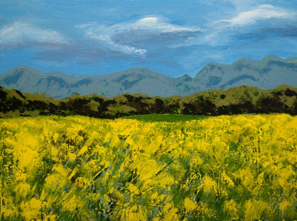 Blue Ridge Springtime by Jane D. Steelman