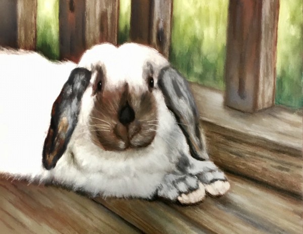 Punky Bunny 2 by Jane D. Steelman