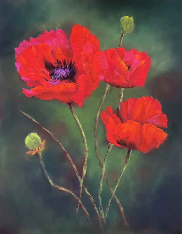 For Those Who Sacrificed (Red Poppies)