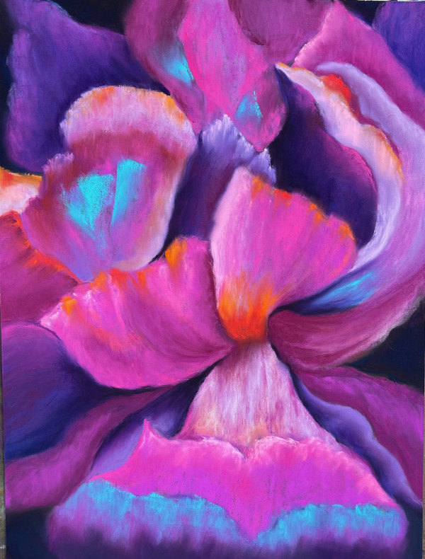 Iris Fantasy by Jane D. Steelman