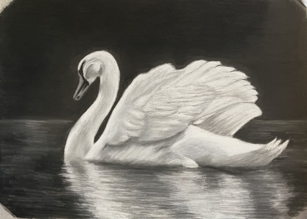 Single Swan by Jane D. Steelman