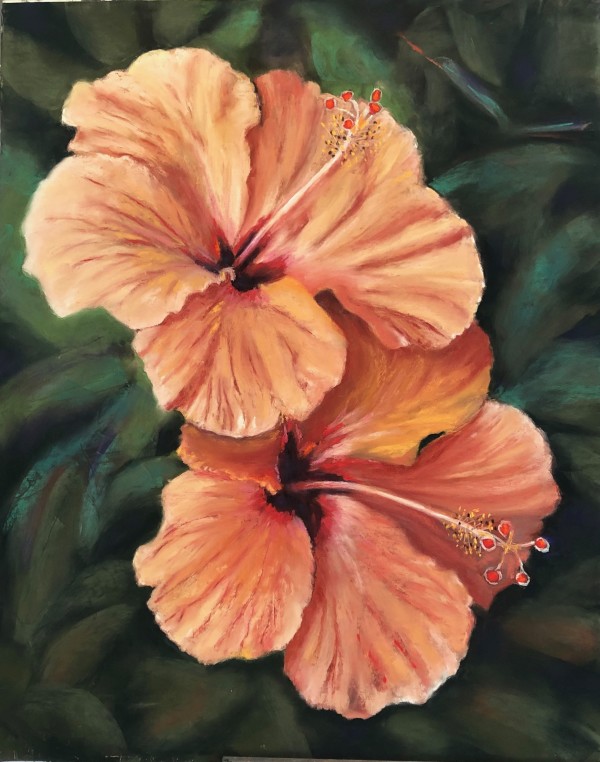 My Hibiscus by Jane D. Steelman