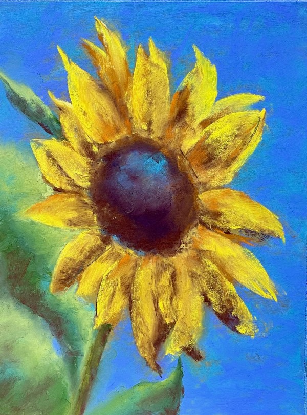 Sunny by Jane D. Steelman