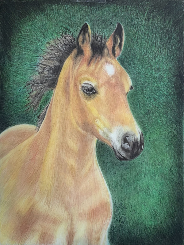 My Little Pony by Jane D. Steelman