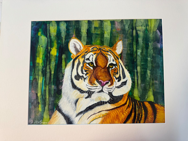 Tiger Time by Jane D. Steelman