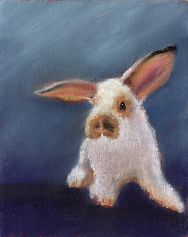 Baby Bunny by Jane D. Steelman, Image 1.
