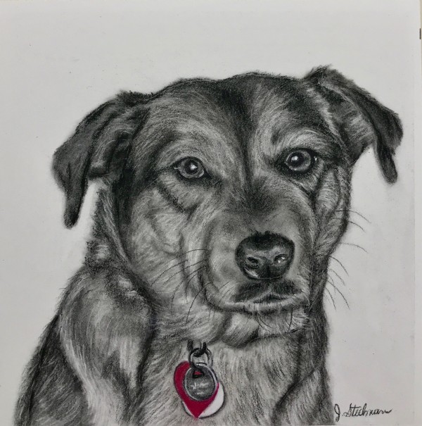 Dog Christmas Commission by Jane D. Steelman