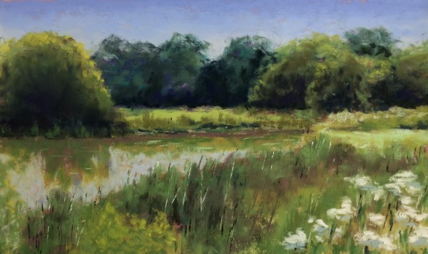 I Saw the Light by Jane D. Steelman