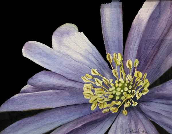Lavender Blue by Jane D. Steelman